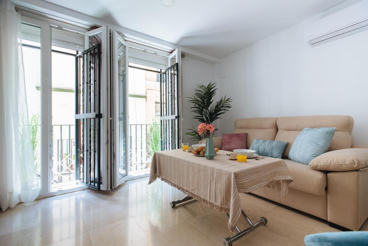 Sbh1 Beautiful 1 Bedroom In Center Apartment