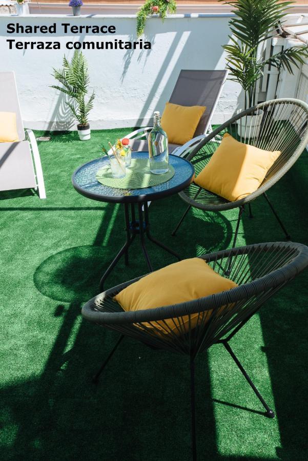Sbh1 Beautiful 1 Bedroom In Center Apartment